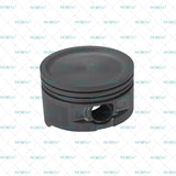 Piston para Ford 4.6LV8  16 V. Triton: Windsor Part: 1038 050