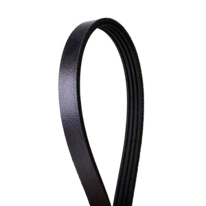 Banda Correa serpentina  Ram ProMaster 1500 2014 L4 3.0L     Part:  4040440S