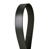 Banda Correa serpentina  Ford F-150 2004 V8 5.4L     Part:  4080992