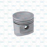 Piston para GM 4.8LL6 OHV 12 V.cc15 Part: 675 STD