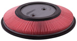 Filtro de Aire NISSAN ESTAQUITAS 1993-2004 4 CIL. 2.4 L