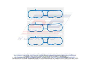 Múltiple (Admisión) gm, bulck, part: MS-004153-1