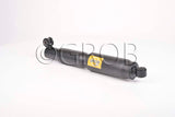 Amortiguador trasero Ram-700 15-20 Palio 05-11 Strada 12-17 Strada Adventure 09-11 Part: g3009051