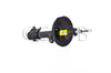 Amortiguador delantero derecho MDX 01-02 Pilot 03-08 Part: gp026