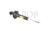 Amortiguador trasero Element 03-11 Part: g5009028