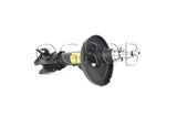 Amortiguador trasero derecho Aerio 05-07 Part: g8409012