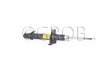Amortiguador delantero derecho Accord 08-12 Part: g5009018